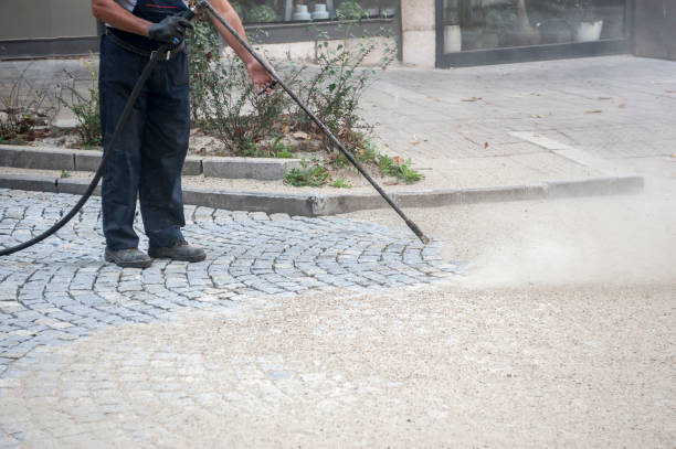 Best Pre-Holiday Cleaning  in Fort Davis, TX